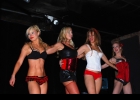 Charity Pin-Up and Burlesque Show @ Bar Deluxe 12.3