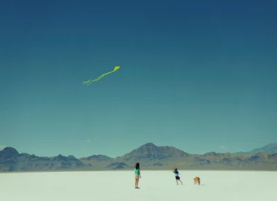 Two kids and a dog watch a kite in the sky.