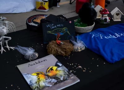 The Great Salt Lake Audobon educates the public about birds. Photo: Dominic Jordon.