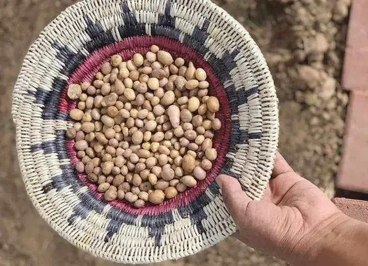 A woven patterned bowl holds tiny little spuds.