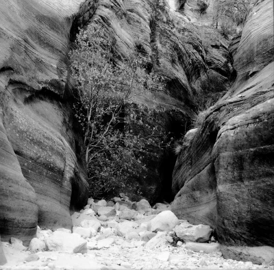 A black and white photo of a desert rock formation. 