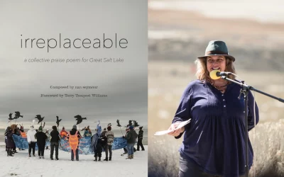 “An Irreplaceable Refuge for All of Us”: nan seymour on the Great Salt Lake